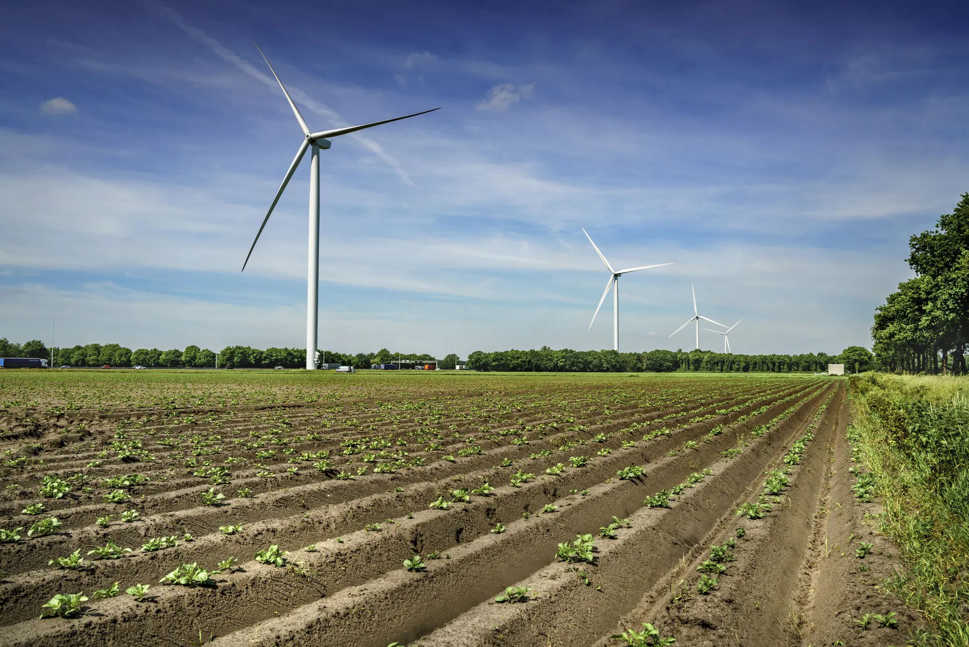 Windturbines